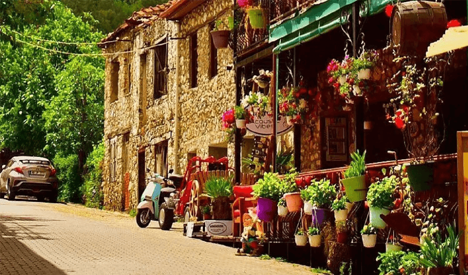 Muğla Fethiye Üzümlü